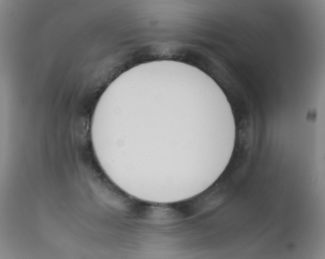 X0000110730605200907022112