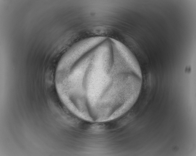 X0000110730606200907022112