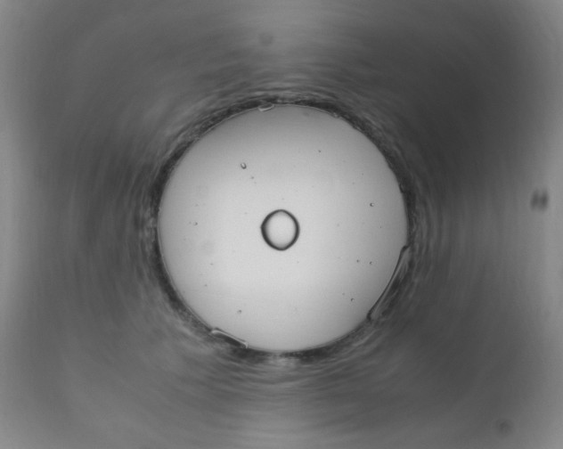 X0000110730609200907022112