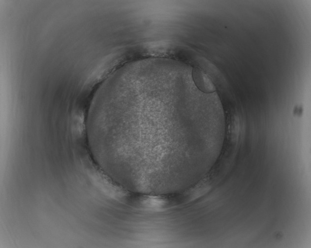 X0000110730610200907022112