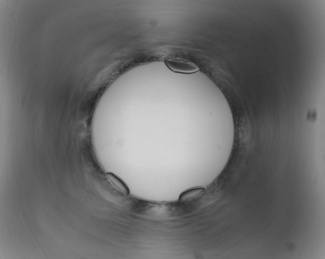 X0000110730611200907022111