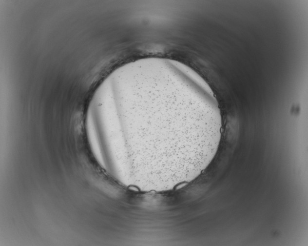 X0000110730612200907022111