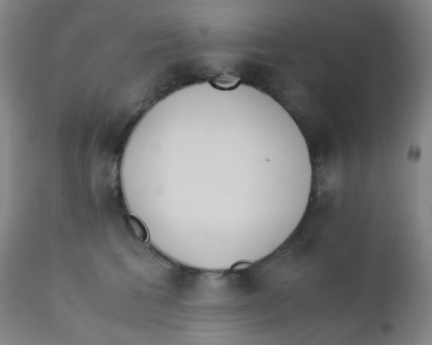 X0000110730613200907022111