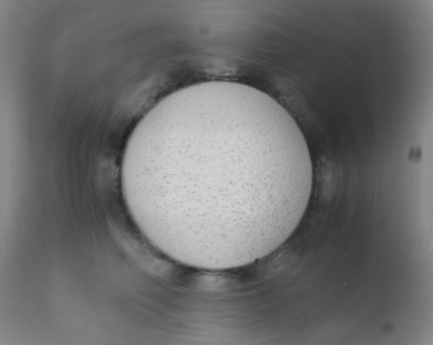 X0000110730614200907022111