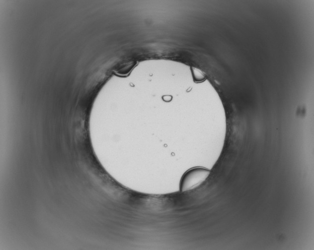 X0000110730615200907022111