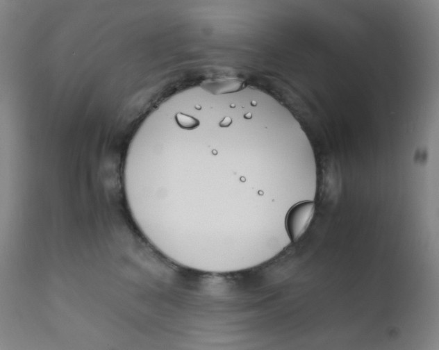 X0000110730616200907022111