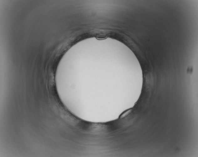 X0000110730617200907022111