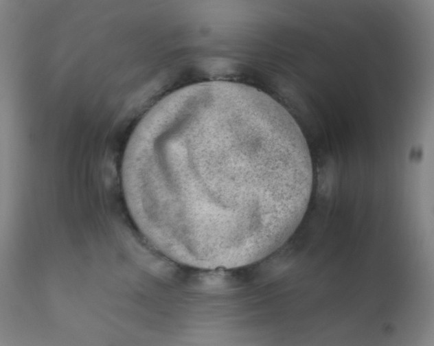 X0000110730618200907022111