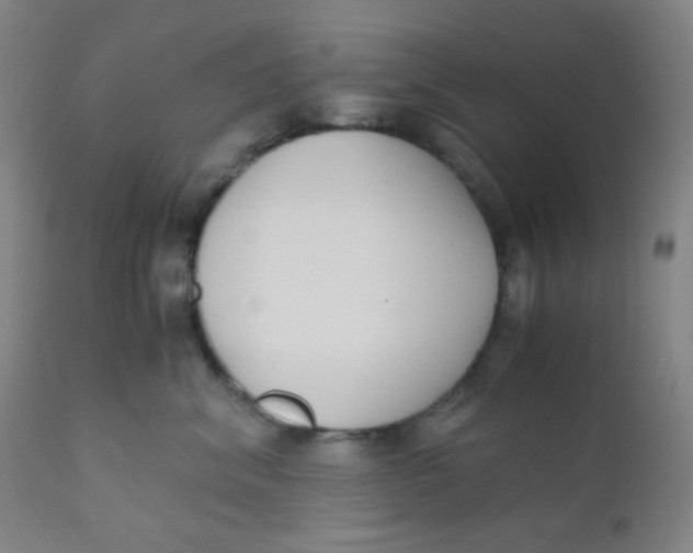 X0000110730620200907022111