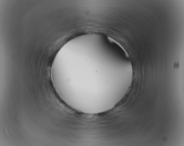 X0000110730621200907022111