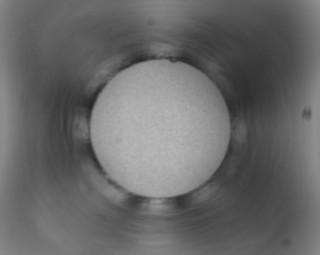 X0000110730622200907022111