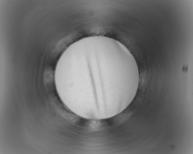 X0000110730623200907022111