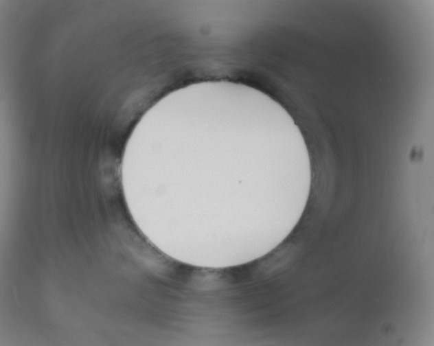 X0000110730624200907022111