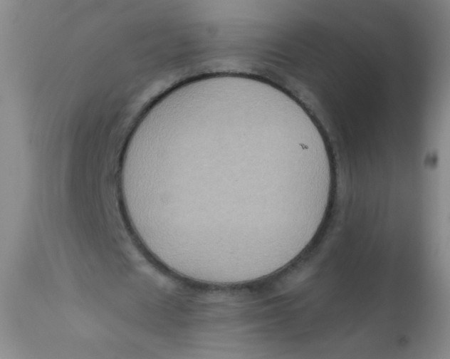 X0000110730625200907022110