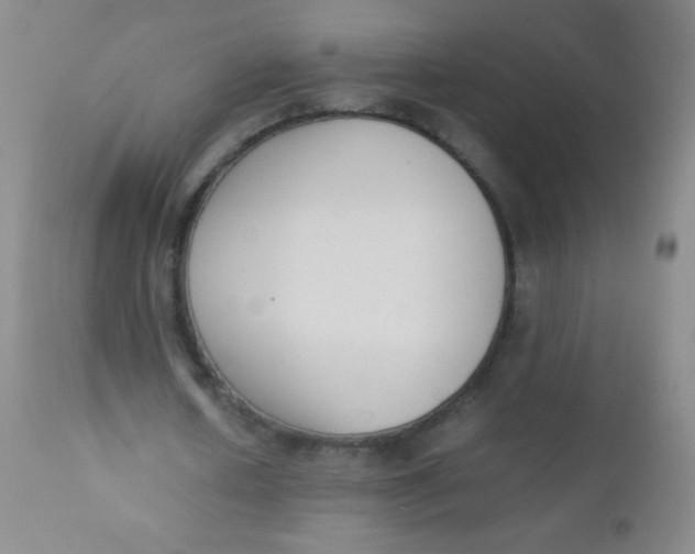 X0000110730626200907022111