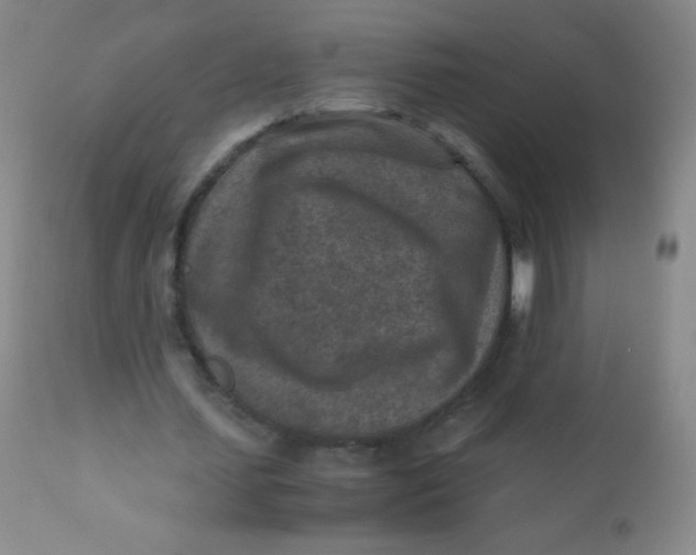 X0000110730627200907022111