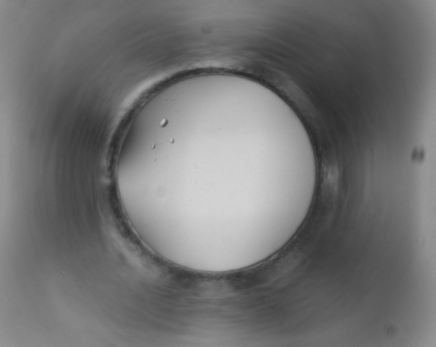 X0000110730628200907022111