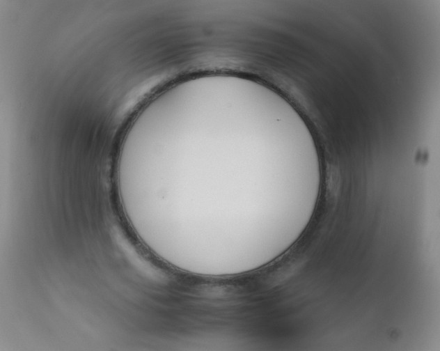 X0000110730629200907022111