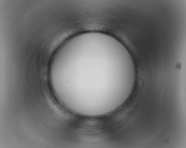 X0000110730631200907022111