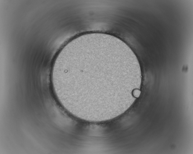 X0000110730632200907022111