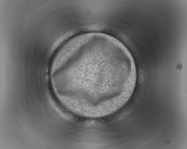 X0000110730634200907022111