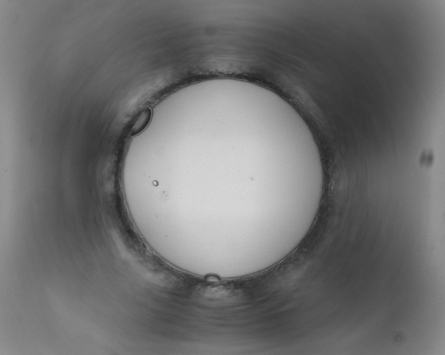 X0000110730635200907022111