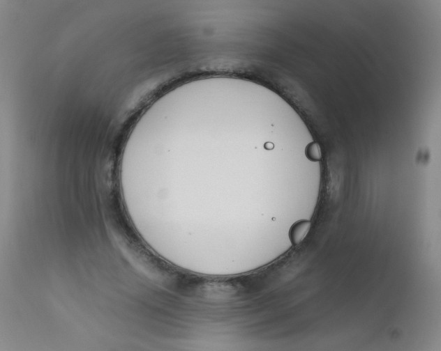 X0000110730636200907022111