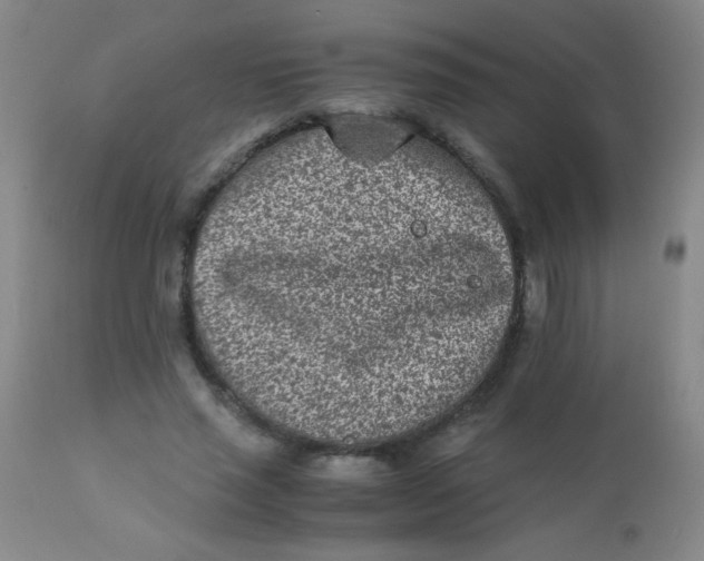 X0000110730637200907022111