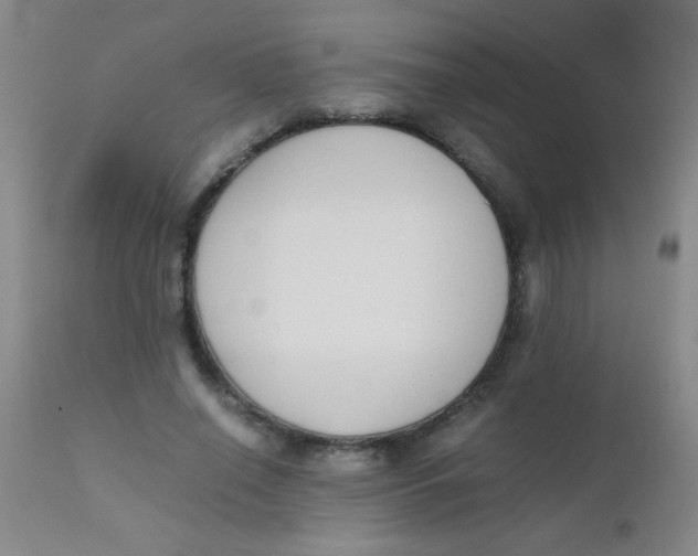 X0000110730638200907022111