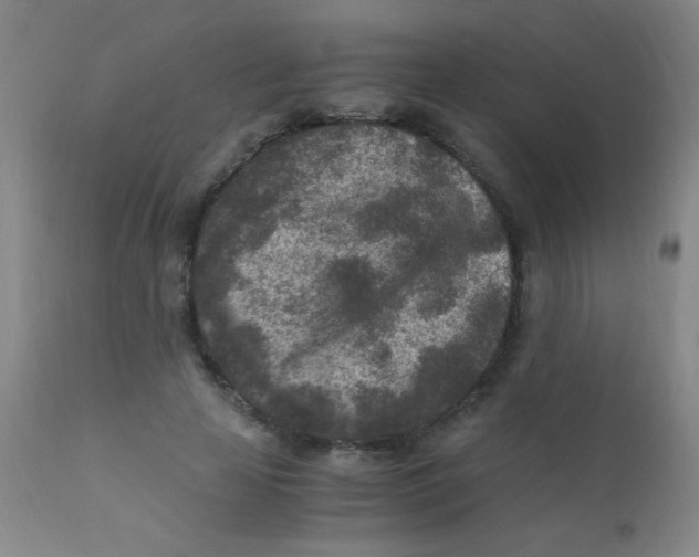 X0000110730641200907022111