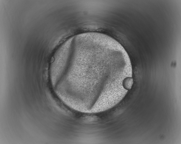 X0000110730642200907022111