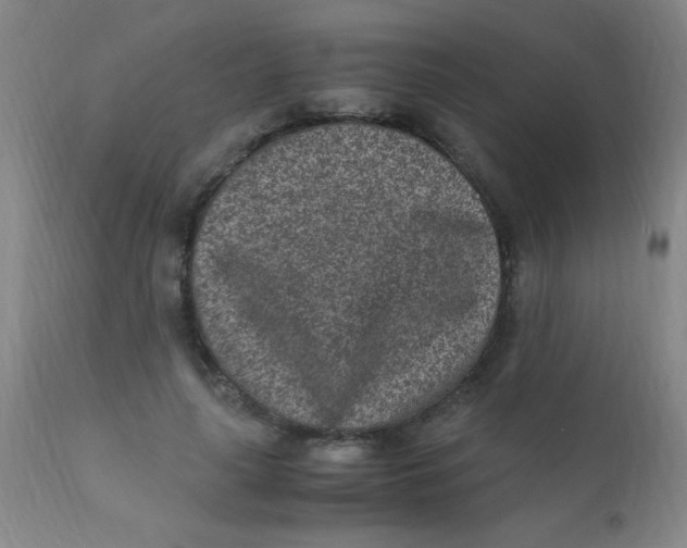 X0000110730643200907022111