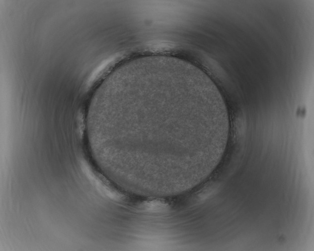 X0000110730644200907022111