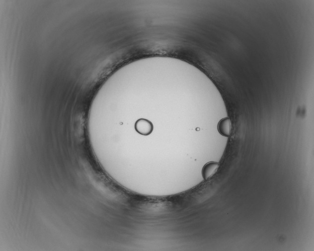 X0000110730646200907022111