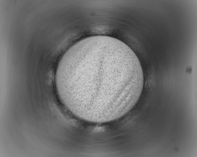 X0000110730647200907022111