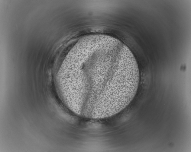 X0000110730648200907022111