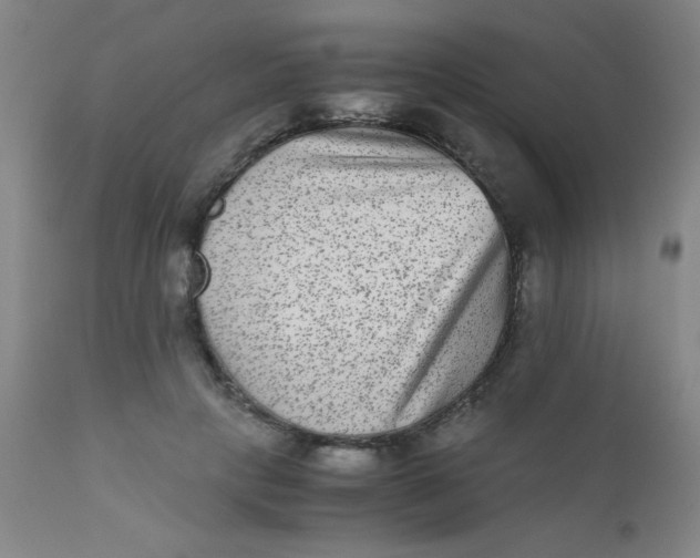 X0000110730649200907022111