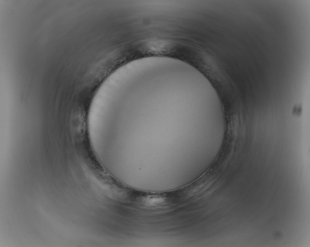 X0000110730651200907022111