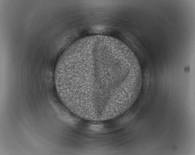 X0000110730653200907022111