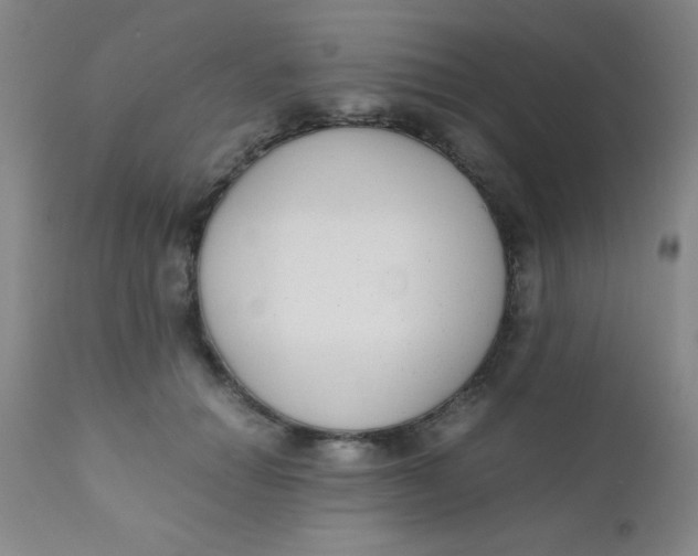 X0000110730654200907022111