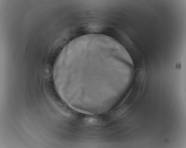 X0000110730655200907022111