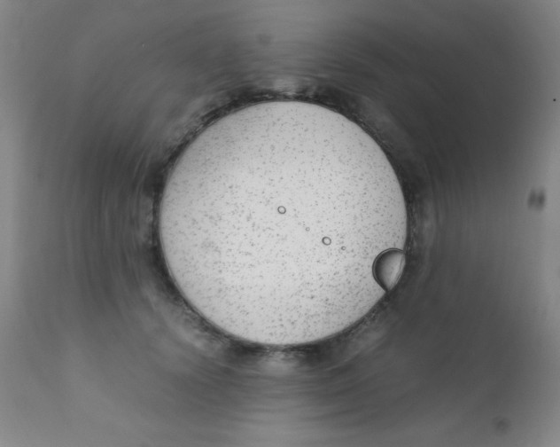 X0000110730656200907022111