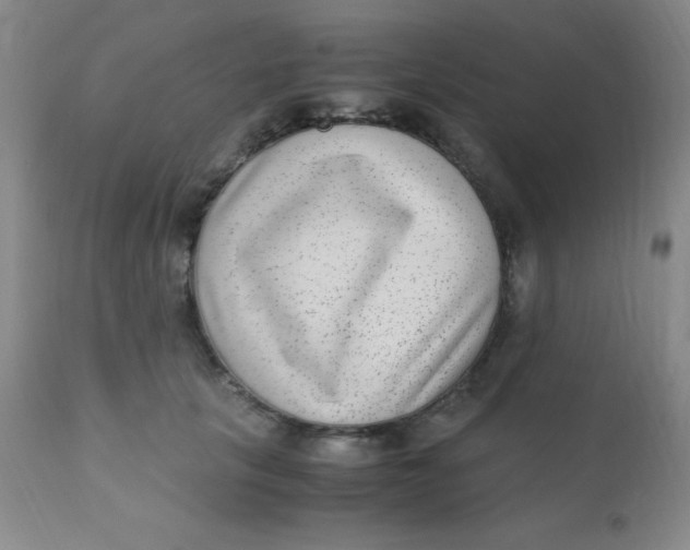 X0000110730657200907022111