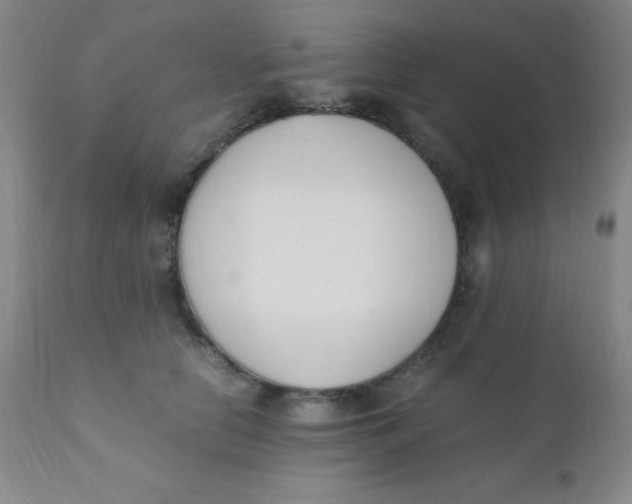 X0000110730658200907022111