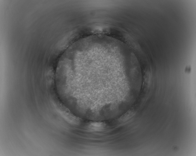 X0000110730659200907022111