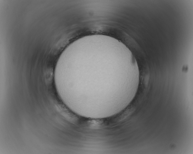 X0000110730660200907022111