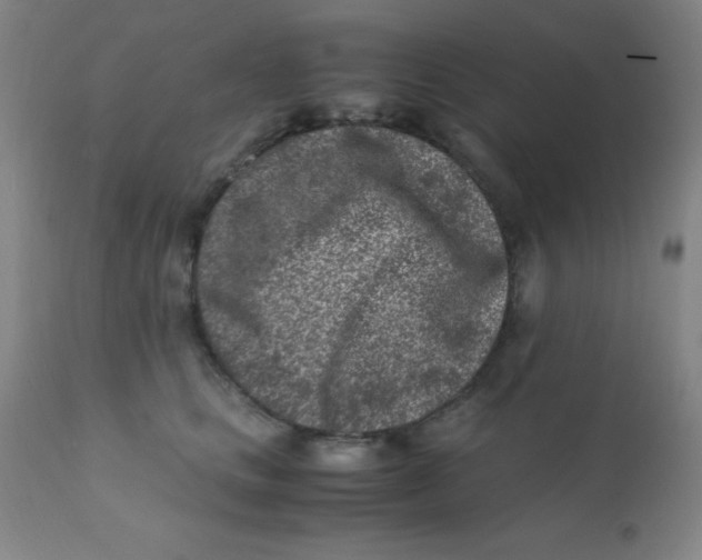 X0000110730661200907022111