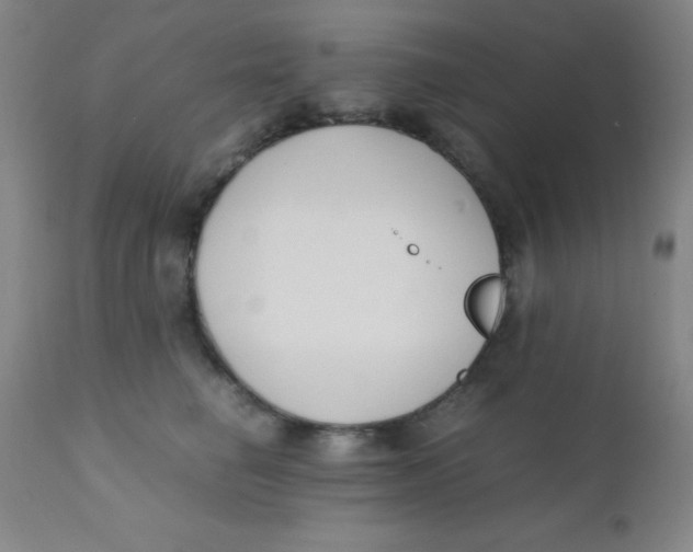 X0000110730662200907022111