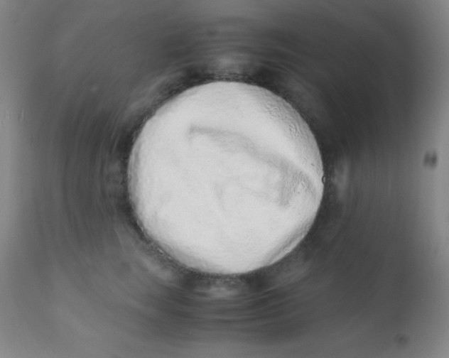 X0000110730663200907022111