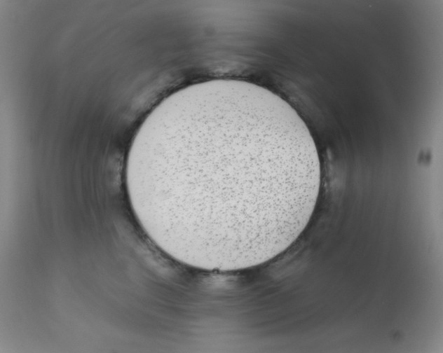 X0000110730664200907022111